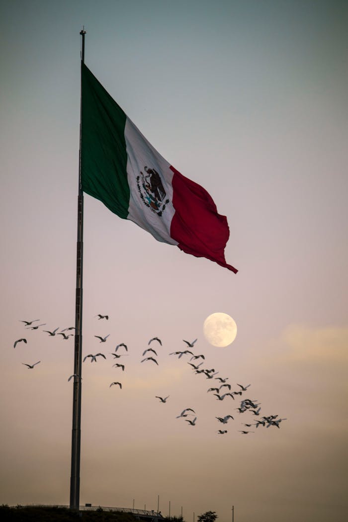 Mexican flag with a flock of birds and the moon at dawn in Monterrey, Mexico.